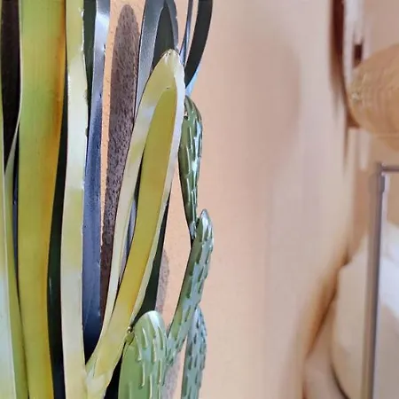 Apartamento Estrella Del Mar By Costa